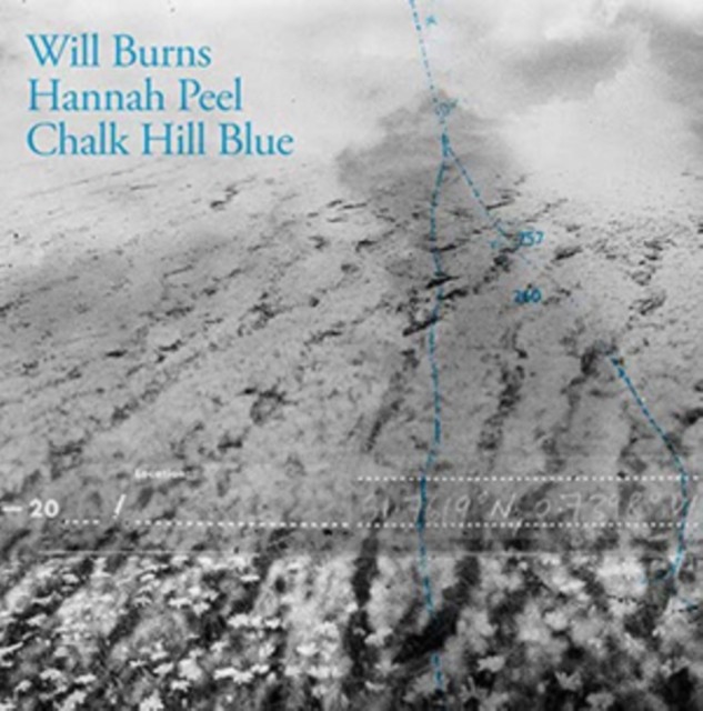 Chalk Hill Blue - Image 3
