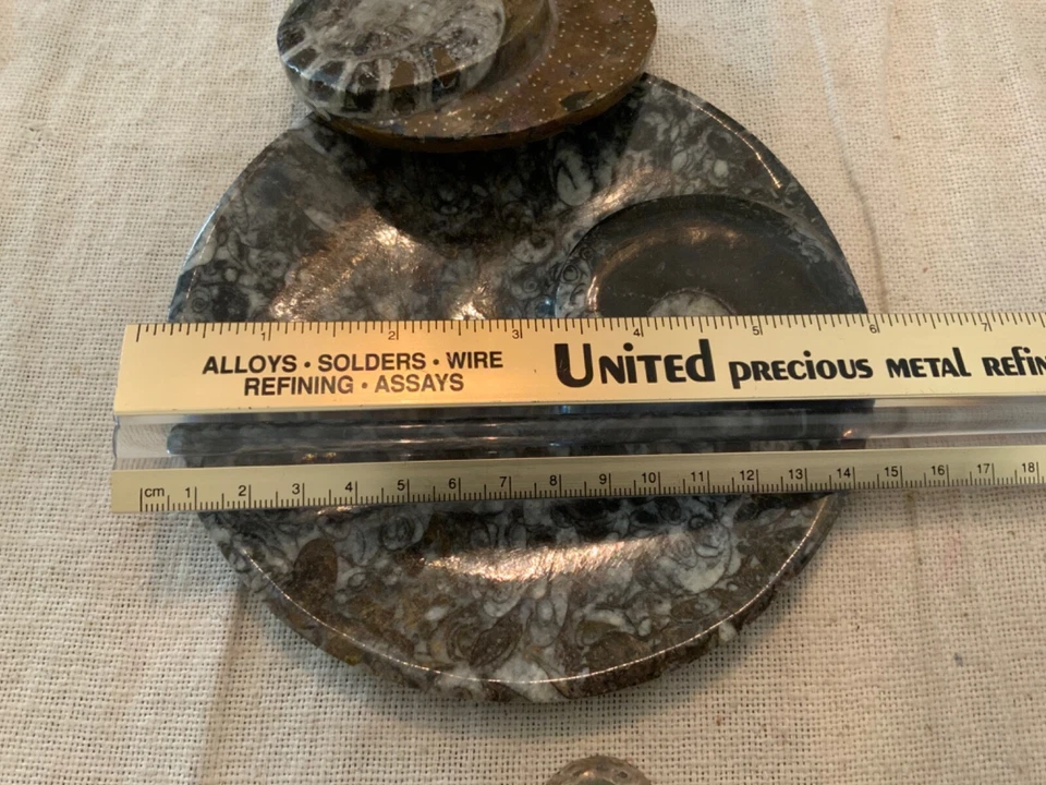 Decoración fósil de amonita coleccionable losa cottagecore piedra preciosa semipreciosa 2748 ct Foto 4 de 4