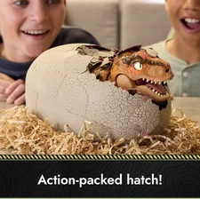 Jurassic World Interactive Toy Dinosaur & Egg, Hatch & Train Your own Baby Dino
