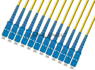 900M SC-SC Outdoor Armored Singlemode 12 Strands Fiber Patch Cord