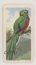 1964 Brooke Bond Red Rose Tropical Birds Tea American Blue Back Quetzal #18 9aj