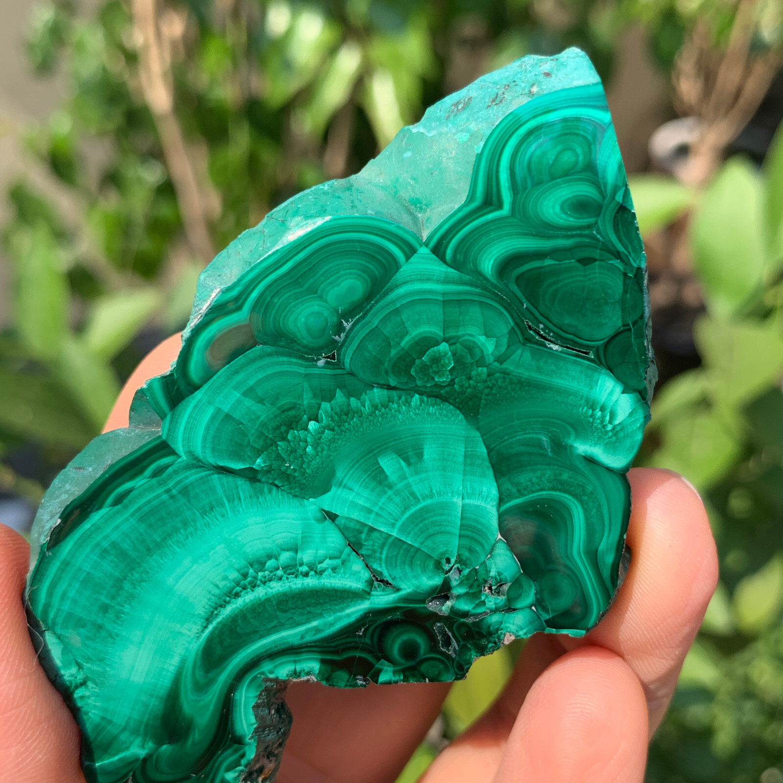 61g  Natural malachite slice quartz crystal luster mineral specimen