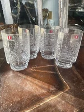iittala glass finland kuusi spruce Liquor Cordial Spirit Glasses  glass Set New