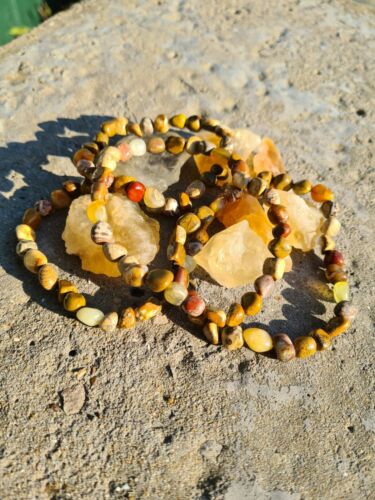4 Earthy Stones: Picture Jasper, Petrified Wood, Yellow Jade & Leopard Skin... - Picture 1 of 5