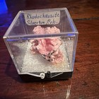 Rhodochrosite Crystal Mineral — photo 1