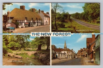 R799756 The New Forest Ringwood J Salmon Sevenoaks Multi View