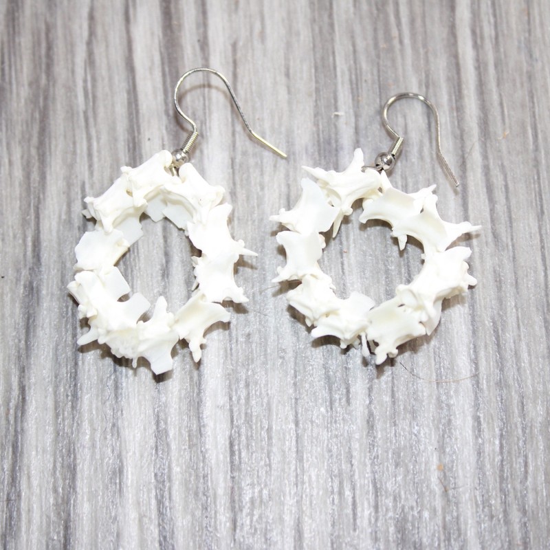 Rattlesnake Vertebrae  Earrings  # 25767