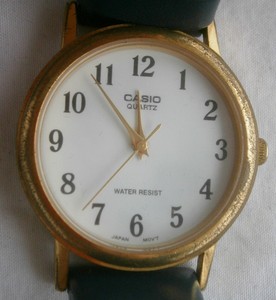 casio 1330