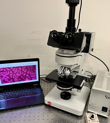 Leitz Leica Dialux 22  Fluorescence Phase Microscope with 5MP Camera