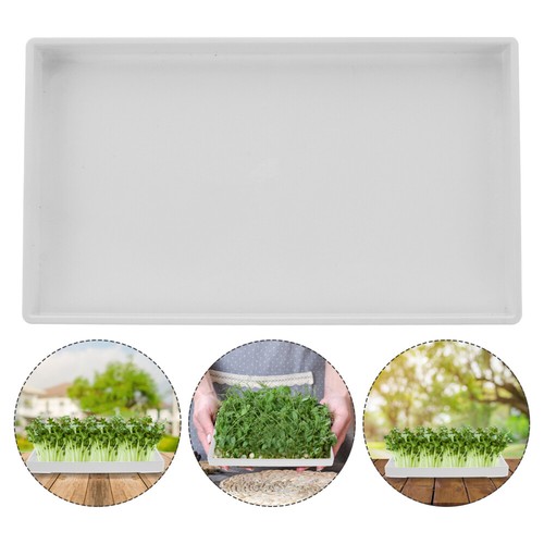 3 Vassoi Germinazione In Plastica 56x24 Cm, Multicavità Per Semi E Germogli, Per Coltivazione Domestica