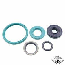 Simmering Satz für Saxonette Spartamet Sachs 301 Motor