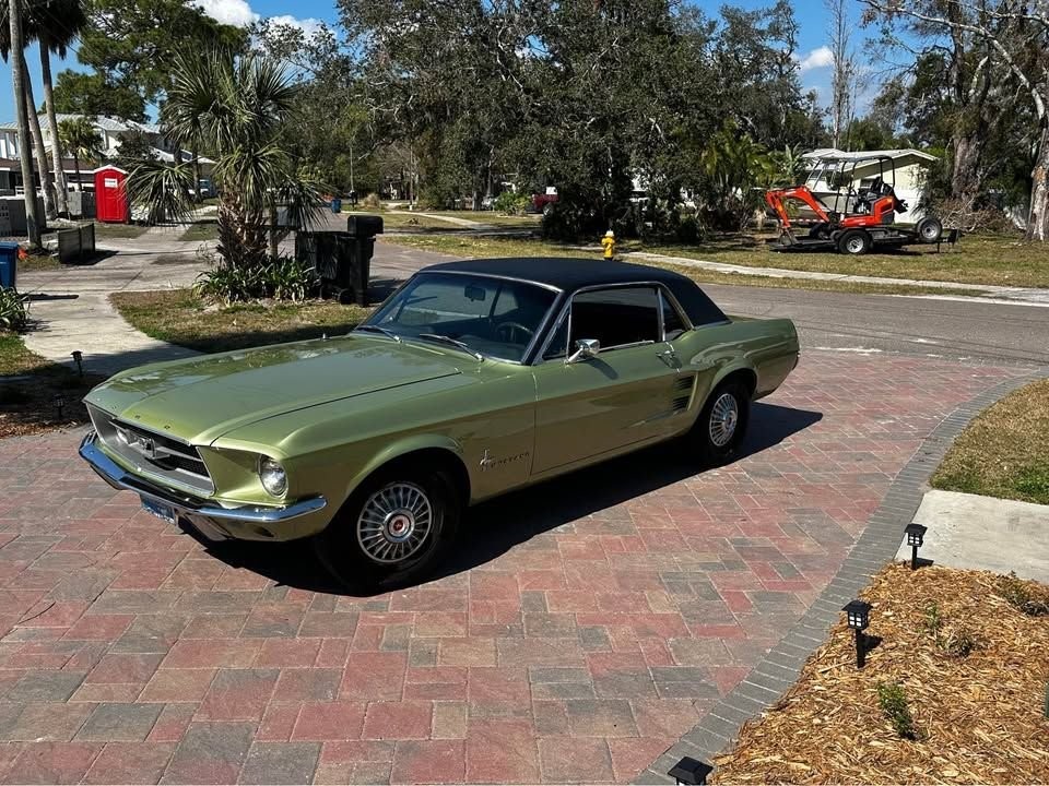 1967 Ford Mustang for sale in Oldsmar Florida