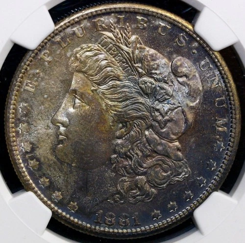 1881-S Morgan Silver Dollar $1 San Francisco Mint~ NGC MS64 NICE TONED