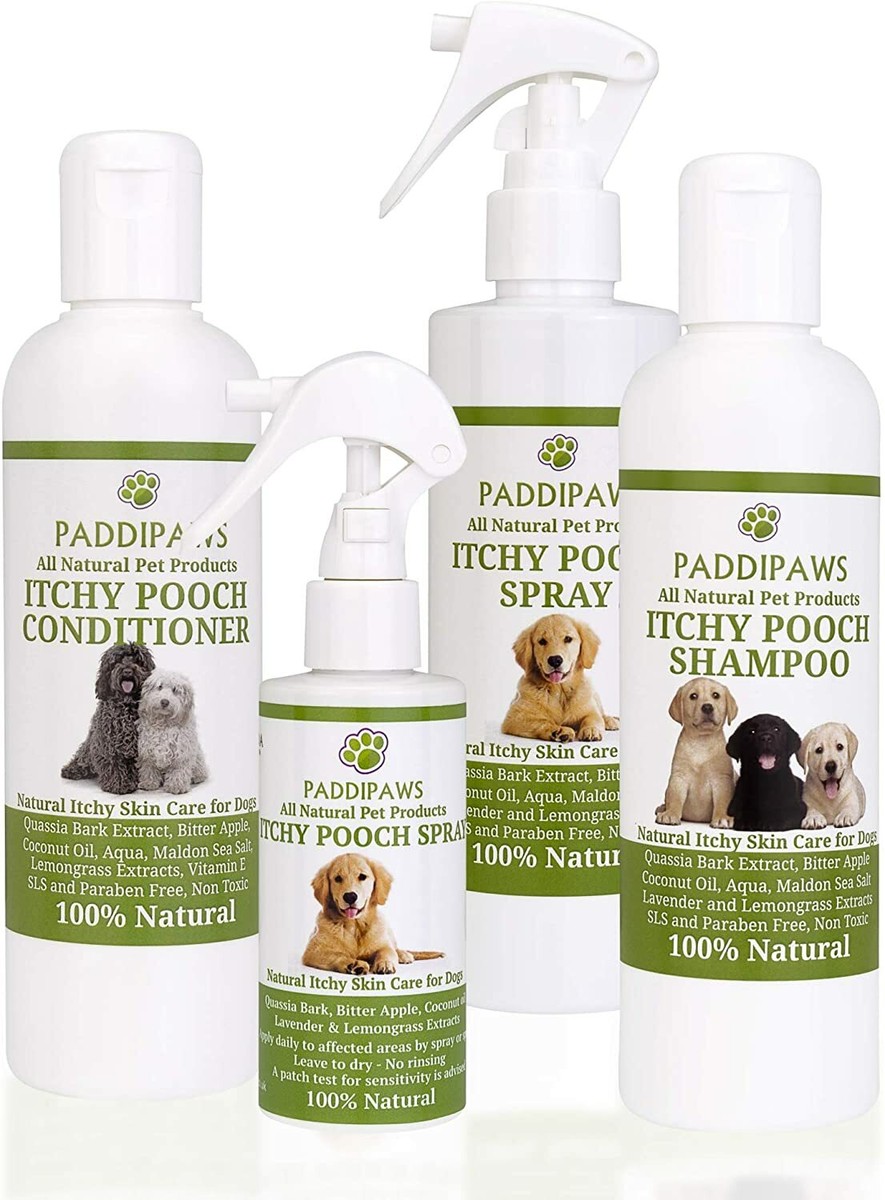 Antiseptic Antifungal Antibacterial Best Antifungal Dog Shampoo