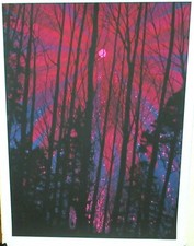 DAN MC CARTHY "PINK MOON" EDICIÓN LIMITADA SERIGRAFÍA FIRMADA