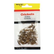 Magic Preserved Crickets Fishing Lure Weight .21 oz - 5231