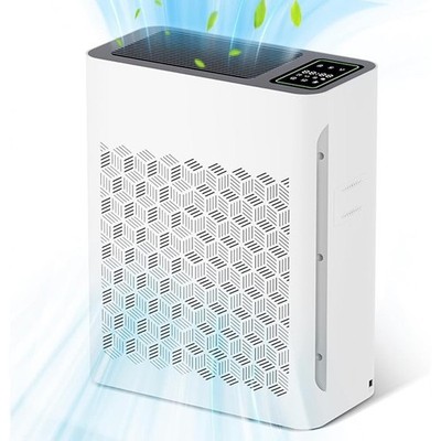 Home True HEPA Air Purifier Large Room Air Cleaner for Allergies Smoker Pet Hair
