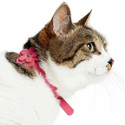 blueberry adjustable breakaway cat collar