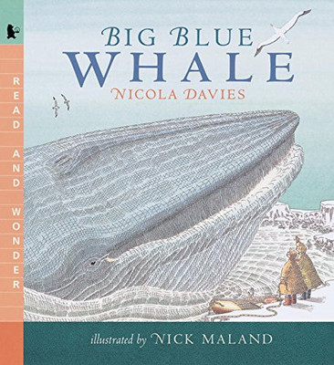 Big Blue Whale (Read and Wonder) by Davies, Nicola
