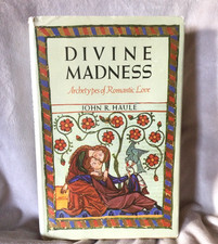 Divine Madness : Archetypes of Romantic Love by John R. Haule (1990, Hardcover)