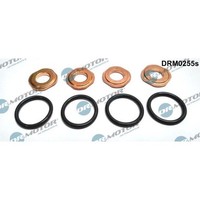 Dr.Motor Automotive DRM0255S Dichtungssatz, EinspritzdüSe