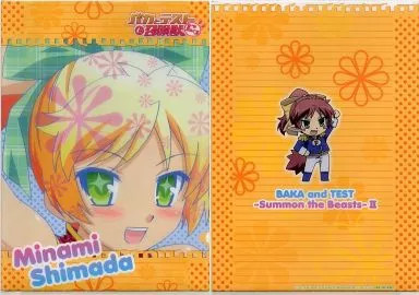 Minami A4 Double Pocket Clear File - Close-up Face Collectible Document Holder