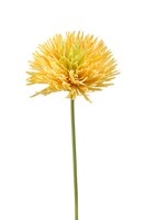 KüNstliche Chrysantheme Gelb H. 58Cm Emerald Kunstblumen Wa
