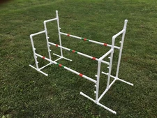 Dog Agility Training Triple Jump