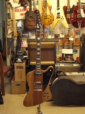 Gibson Firebird Zebrawood 2007 n.DG1521