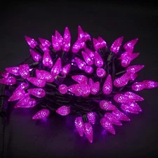Twinkle Star 33 ft Purple 8 Modes Halloween String Lights 100 LED Indoor/Outdoor
