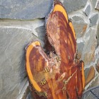 Bild 2 von 21