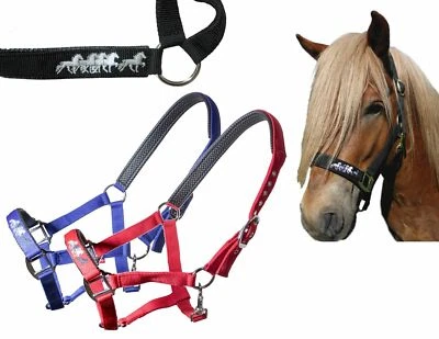 Isländer - Karlslund festes Nylonhalfter mit schöner Stickerei für Island Pferde