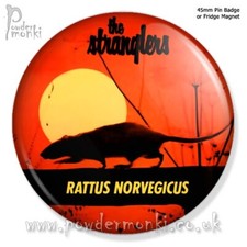 STRANGLERS "RATTUS NORVEGICUS" ~ Retro 1970s Music [45mm BADGE/MAGNET]