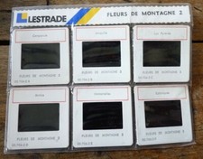 Lestrade Slides Set / Fleurs de Montagnes 2