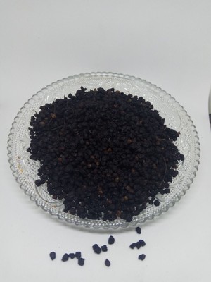 HOLDERBERRY FRUCHT Sambucus nigra Tee Bio Trockenfrüchte