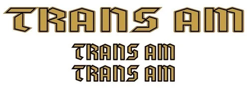 TRANS AM Pontiac Firebird German Style Fender Rear Spoiler Vinyl Sticker Decal