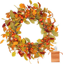 20 Inch Pre-Lit Eucalyptus and Magnolia Fall Wreath with 30 Leds
