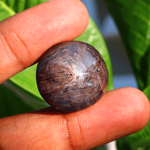 70.70 Cts Natural Star Ruby Top Quality 23mmx22mm Oval Cabochon Loose Gemstone - Picture 1 of 16