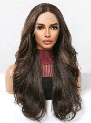 Natural Brown Ombre Wig HD Front Lace Human Hair Blend Highlights Straight 24 In