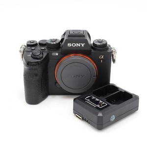 Sony A1 Body | eBay