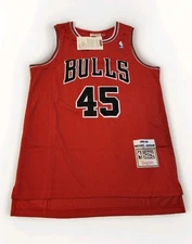 Mitchell & Ness 🔥 Michael Jordan 🔥 #45 Bulls 1994-95 Comeback Jersey Men's LG