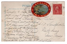 1925 Los Angeles CA Label Tied Catalina Island Postcard