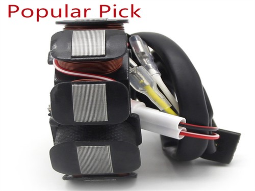 Bobina de estator para KTM 250 XCF-W 250 XC-F 2007-2009 250 EXC-F 2006-11 59039104200 - Imagen 3 de 7