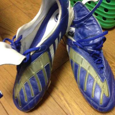 Adidas Predator Powerswerve TRX HG | eBay