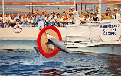 Palos Verdes Ca ~ Marineland Of The Pacific-Porpoise Games-Through Ring