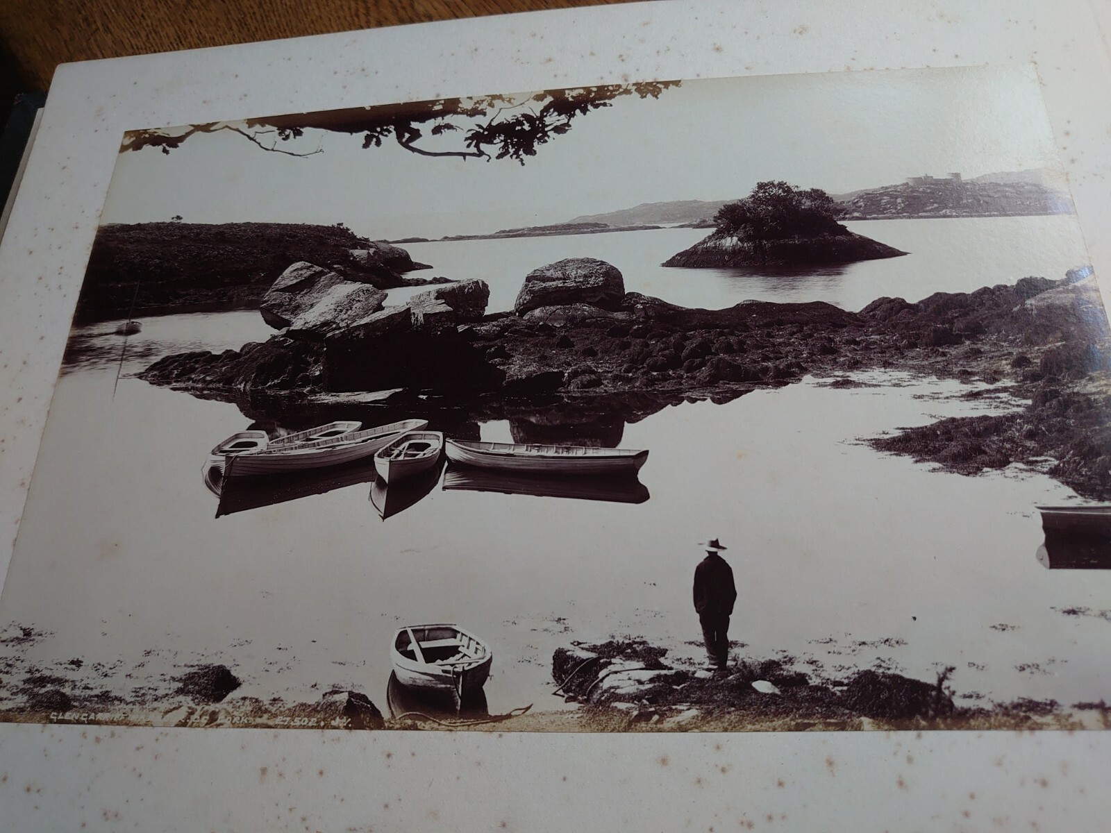 Picture 5 of 12