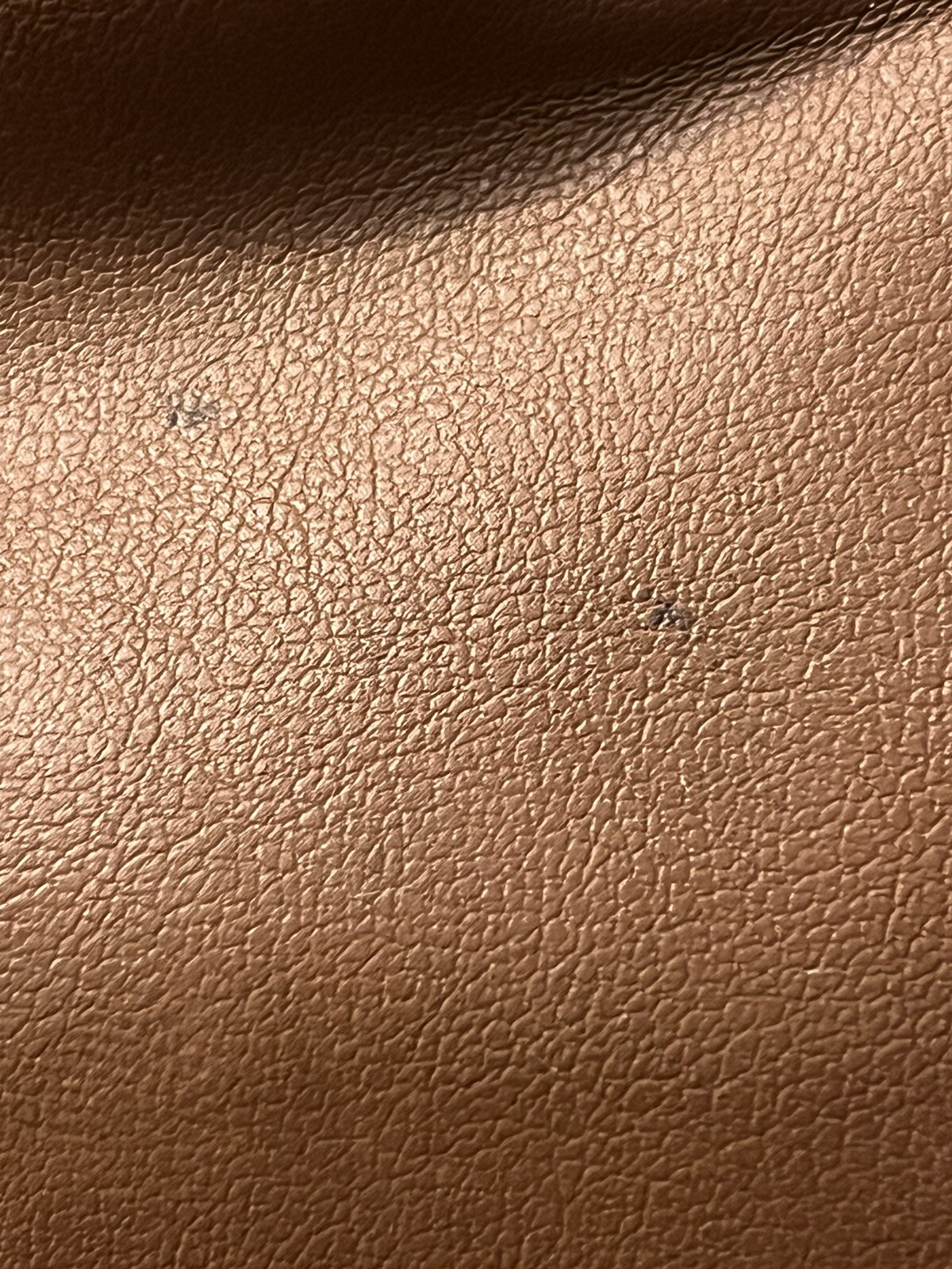 Picture 4 of 11