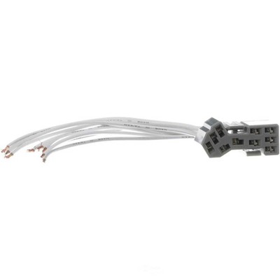Connector/Pigtail(Body Sw & Rly)  Standard Motor Products  S662