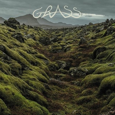 Grass - Grass (Vinyl 3LP - 2025 - US - Original)