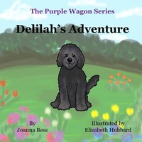 Delilah's Adventure Joanna Bess Taschenbuch Kartoniert / Broschiert Englisch